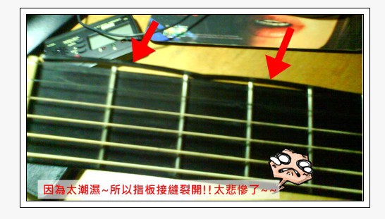 吉他防潮箱